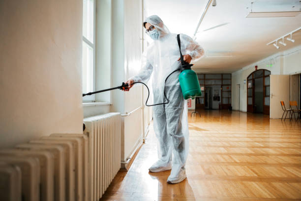 Best Pest Prevention Services  in Holland, OH